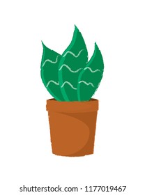 Green succulent plant in a brawn pot vector illustration isolated on white background.