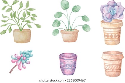 Vector succulento verde e ilustración conjunto planta interior