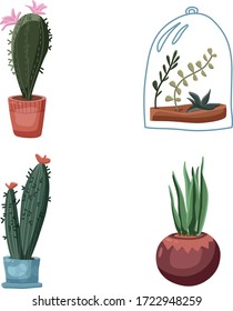 Green succulents cacti in pots set illustrations