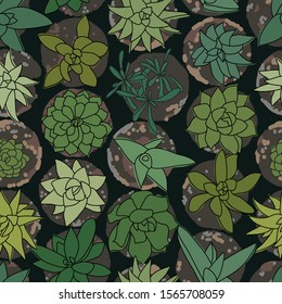 Green Succulents in Pots top-view Vetor Drawing Seamless Pattern