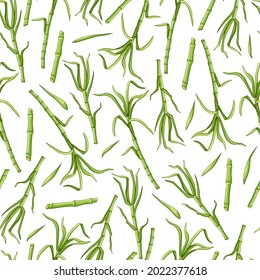 Green sugar cane on a white background seamless pattern. Vector background.