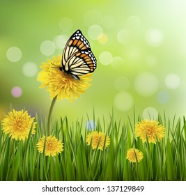 Green summer background with dandelions and a butterfly. Vector.