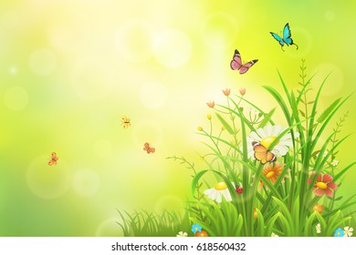 Green summer background with grass, flowers and insects