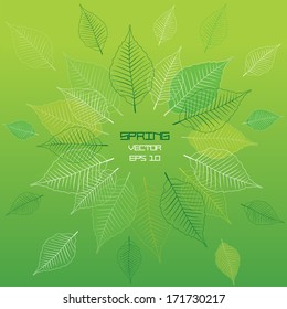 green summer background with leafs silhouettes and place for your text