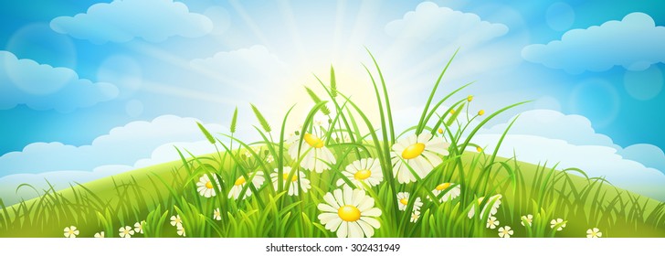 Green summer background with meadow, grass, flowers, sky and sun