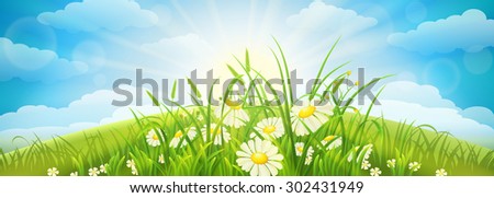 Similar – Image, Stock Photo Daisies in the meadow, dandelions blooming in the background