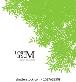 Green summer background. Tree with leaves