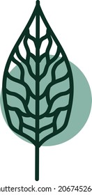Green summer leaf, illustration, vector, on a white background.