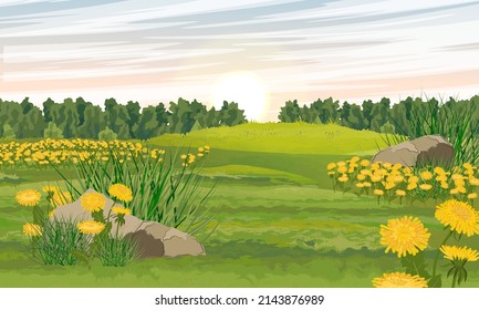 Green summer meadow with yellow dandelions growing on it. Realistic vector landscape