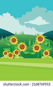 Green summer rural landscape with big sunflowers illustration.