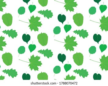 green summer spring tree leaves wallpaper on white background