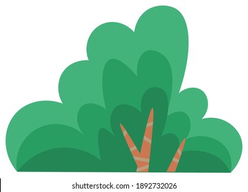 Green summer tree or bush with a lush crown, thin brown trunk and branches isolated on white. Vector illustration of big plant with foliage round shape, landscape element in cartoon concept