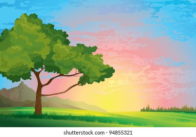 Green summer tree and meadow on a sunset cloudy sky background