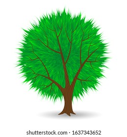 Green summer tree on a white background. Vector illustration