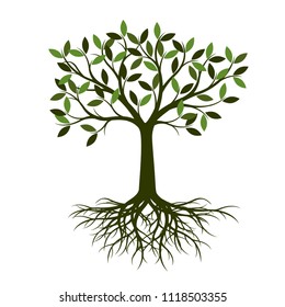Green summer Tree with Root. Vector Illustration. Plant in garden.