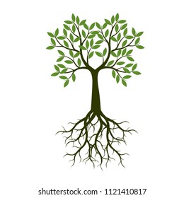 Green summer Tree with Root. Vector Illustration. Plant in garden.