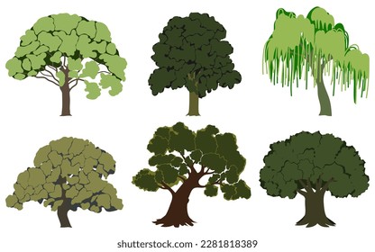 Grüne Sommerbäume stehen auf. Eiche, Kastanie, Weide, Hornstrahl, Buche, Asche. Vektorgrafik