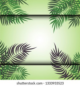 Green summer tropical background with exotic palm leaves and plants. Vector floral background