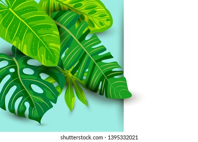 Green summer tropical background with exotic leaves, paper sheet. Place for text. Vector illustration for poster, web, flyers, party invitation, sale, ecological concept. Summer and vacation concept.