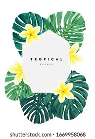 Green summer tropical background with exotic monstera palm leaves and plumeria flowers. Vector floral background. Party flyer, invitation or banner template.