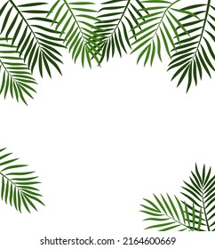 Green summer tropical background with exotic palm leaves and plants. Vector floral background. Eps 10