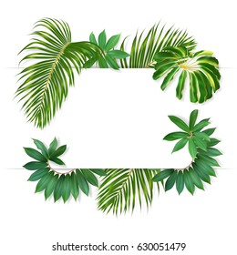 Green summer tropical background with exotic rain-forest leaves. Red and green text hello Summer with a light green frame and photo-realistic leaves.