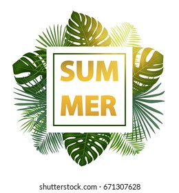 Green summer tropical background with exotic palm leaves and plants. Vector background.