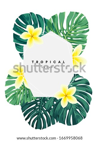Green summer tropical background with exotic monstera palm leaves and plumeria flowers. Vector floral background. Party flyer, invitation or banner template.