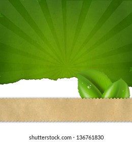 Green Sunburst Background Texture With Gradient Mesh, Vector Illustration