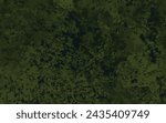 Green swamp abstract texture olive green background watercolor grunge dusty pale color vector background for tutorial video wallpaper