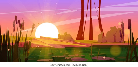 Green swamp and cattail near lake, sunset vector background. Pond in bush, bulrush in park. Dirty water in river cartoon illustration for fantasy game. Wild nature landscape with shining water surface