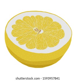 

Green sweet grapefruit isolated vector illustration on white background.
A half of green sweet grapefruit vector illustration isolated on white background