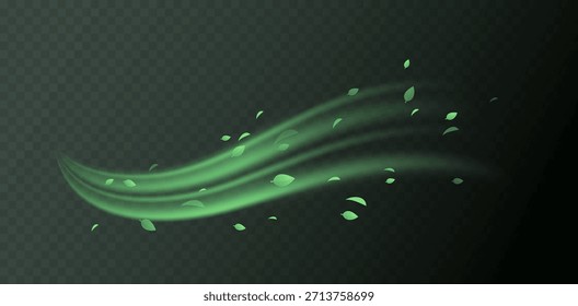 Elementos de redemoinho verde com folhas, movimento de vórtice orgânico e curvas luminosas suaves. Frescura natural, tons de ervas, texturas botânicas. Conceito de vitalidade e energia ecológica. Ilustração de vetor de ar fresco