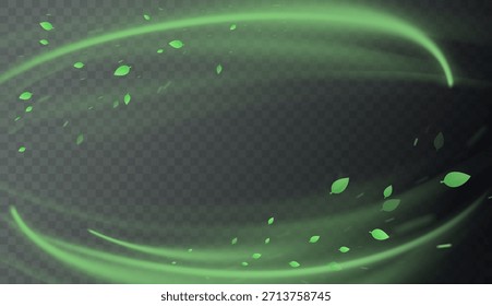 Elementos de remolino verde con hojas, movimiento de vórtice orgánico y curvas luminosas suaves. Frescura natural, tonos herbales, texturas botánicas. Concepto de vitalidad y energía ecológica. Ilustración vectorial de aire fresco
