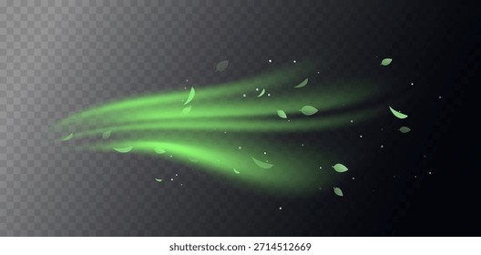 Elementos de remolino verde con hojas, movimiento de vórtice orgánico y curvas luminosas suaves. Frescura natural, tonos herbales, texturas botánicas. Concepto de vitalidad y energía ecológica. Ilustración vectorial de aire fresco