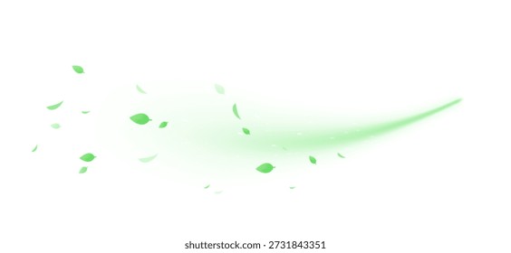 Green swirl elements with leaves, organic vortex motion and soft luminous curves. Natural freshness, herbal tones, botanical textures. Vitality and eco energy concept. Fresh air vector illustration
