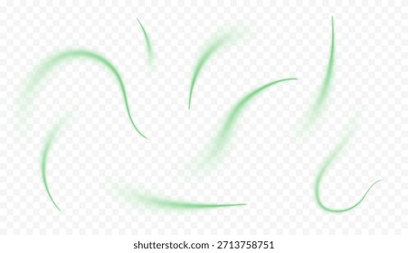 Elementos de remolino verde con movimiento orgánico y suaves curvas luminosas. Frescura natural, tonos herbales y texturas botánicas. Vórtice fresco, vitalidad y energía ecológica. Ilustración vectorial de movimientos aéreos