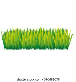 green tall grass icon, vector illustraction design image