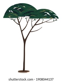 Green tall tree with a lush crown at the top, thin brown trunk and branches on white background. Flat vector illustration of big plant with foliage round shape, landscape element in cartoon concept