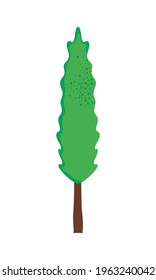 grüner großer Baum auf Hintergrund