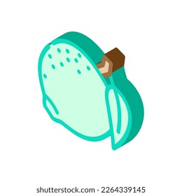 green tangerine leaf isometric icon vector. green tangerine leaf sign. isolated symbol illustration