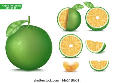 Green Tangerine Sour Orange Fruit Ripe Realistic 3D Vector Food Set. Whole Half and Sliced Version In Isolated White Background
