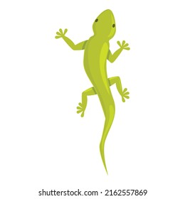 Vector de dibujos animados de icono del reptil tatuaje verde. Lagartija de gecko. Tribuna animal