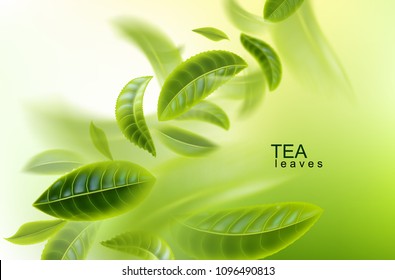 Green tea background. Tea leaves whirl in the air. Tea leaves in motion. Element for design, advertising, packaging of tea products Vector illustration.