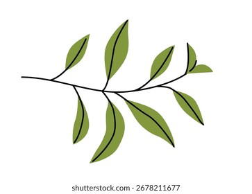 Rama de té verde con hojas. Ilustración vectorial plana aislada sobre fondo blanco. Planta herbaria e ingrediente orgánico. 