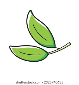 Green tea branch with two leaves isolated vector illustration