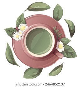 Té verde con flores de manzanilla en taza. Té de manzanilla. Ilustración para tienda de té, café, bar, fiesta, ceremonia del té, concepto de comida. Ilustración vectorial de menú, póster, Sitio web, Anuncio, flyer, tapa