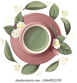 Green tea with chamomile flowers in cup. Chamomile tea. Illustration for tea shop, cafe, bar, party, tea ceremony, food concept. Vector illustration for  menu, poster, website, banner, flyer, cover