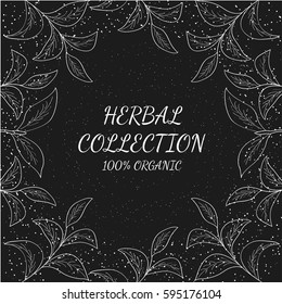 Green tea collection leaf illustration, branch organic hand drawing sketch, square banner template for packing cosmetics, packaging, branding, etc