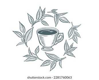 Green Tea Cup, hand drawn, drawing isolated on white